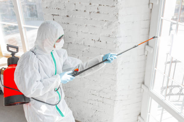 Best Comprehensive Air Testing for Mold Contaminants  in Naples, UT